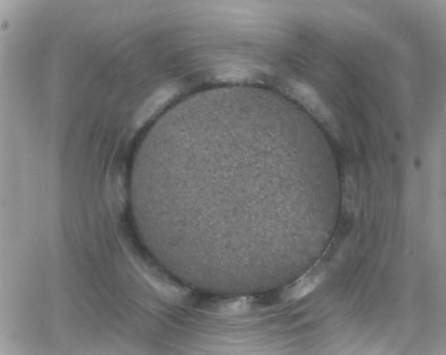 X0000066090116200603171105