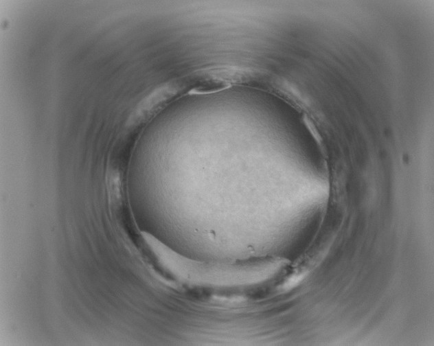 X0000066090117200603171105