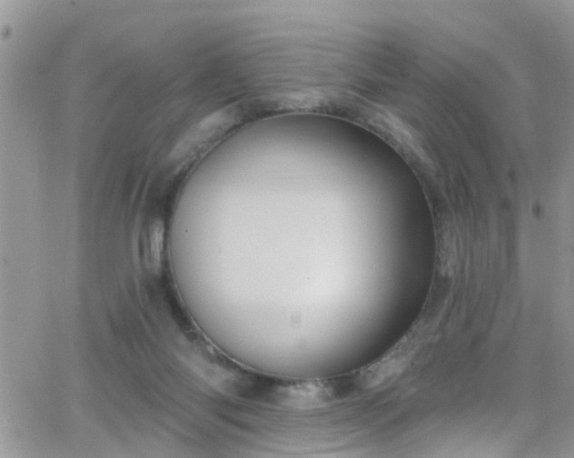 X0000066090118200603171105