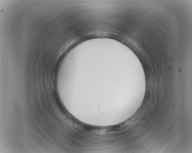 X0000066090120200603171105