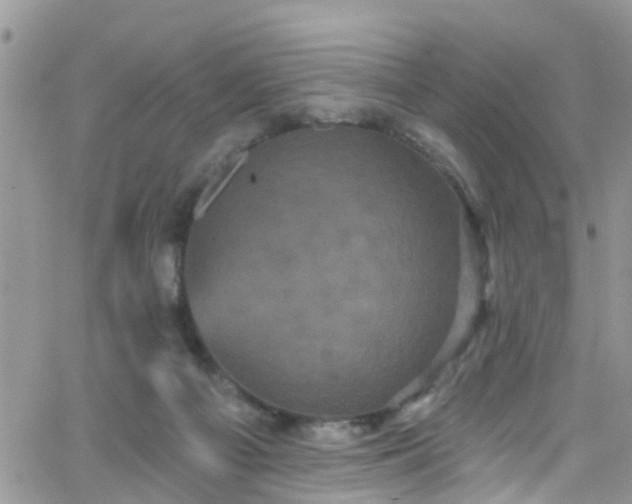 X0000066090121200603171105