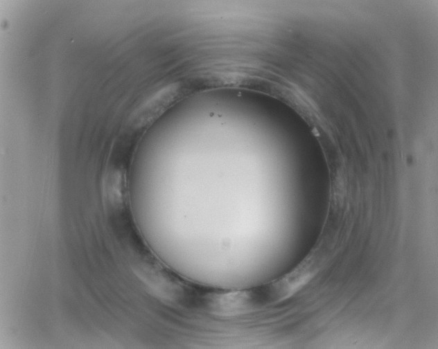 X0000066090122200603171105