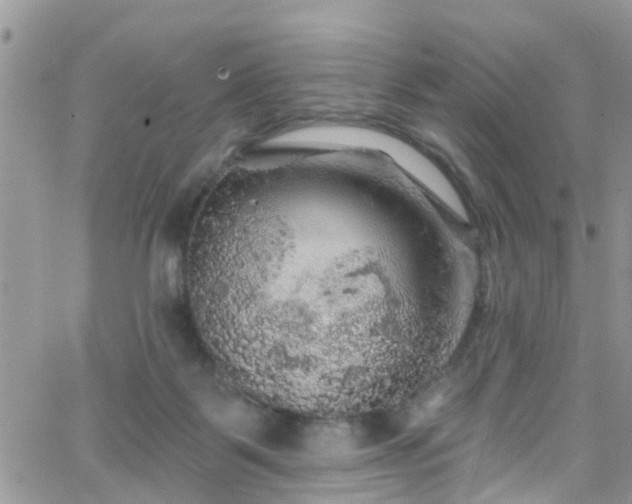 X0000066090123200603171105