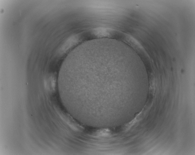 X0000066090124200603171105