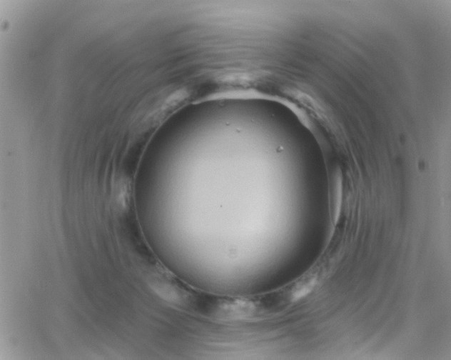 X0000066090125200603171105