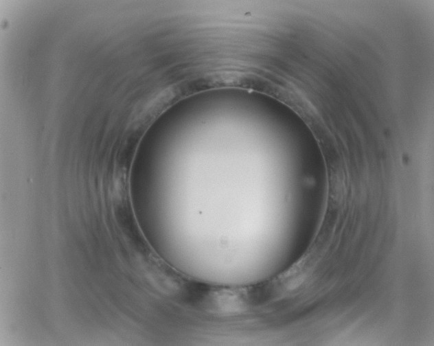 X0000066090126200603171105