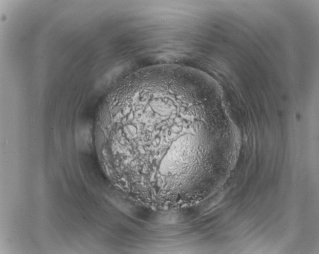 X0000066090127200603171105