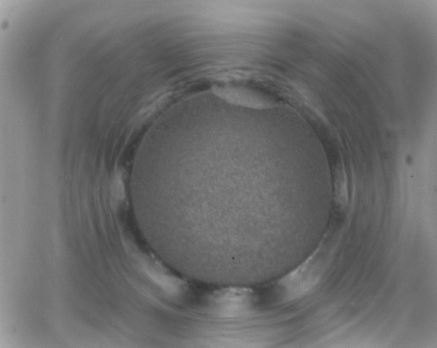 X0000066090128200603171105