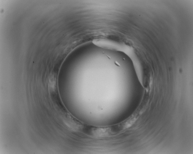 X0000066090129200603171105