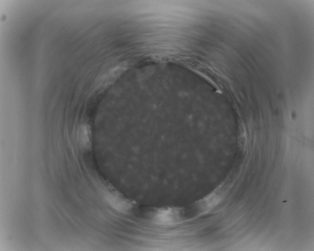 X0000066090130200603171105