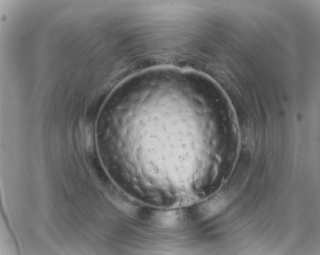 X0000066090131200603171105