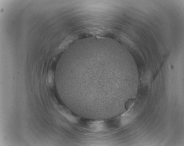 X0000066090132200603171105