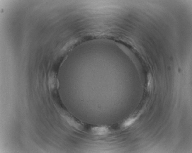 X0000066090133200603171105