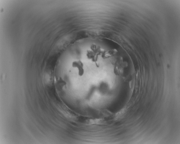 X0000066090134200603171105