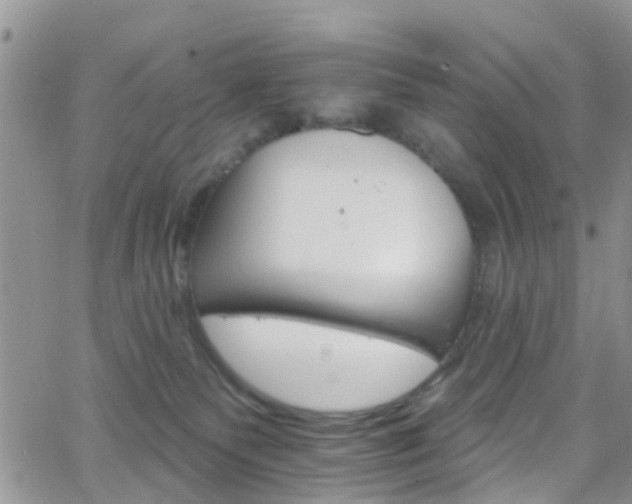 X0000066090135200603171105