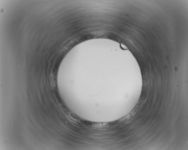 X0000066090136200603171105