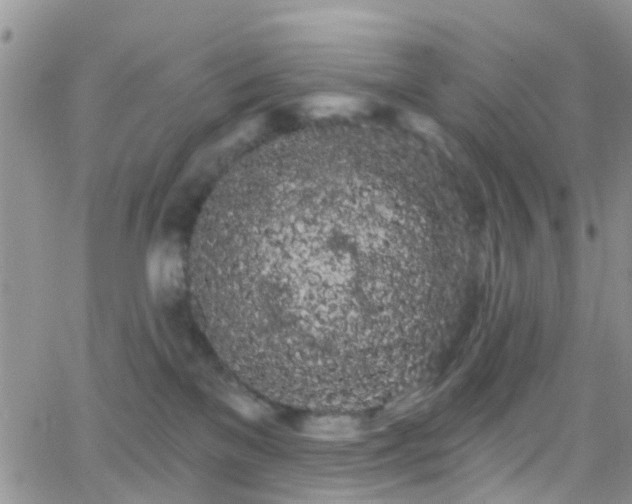 X0000066090137200603171105