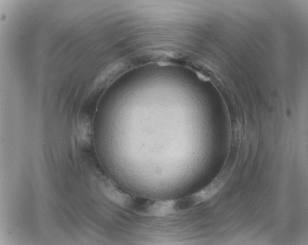 X0000066090138200603171105