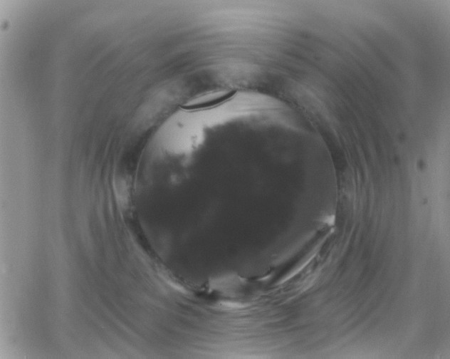 X0000066090139200603171105