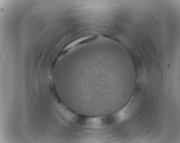 X0000066090140200603171105