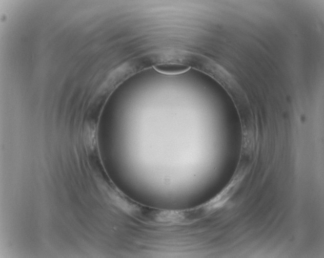 X0000066090142200603171105