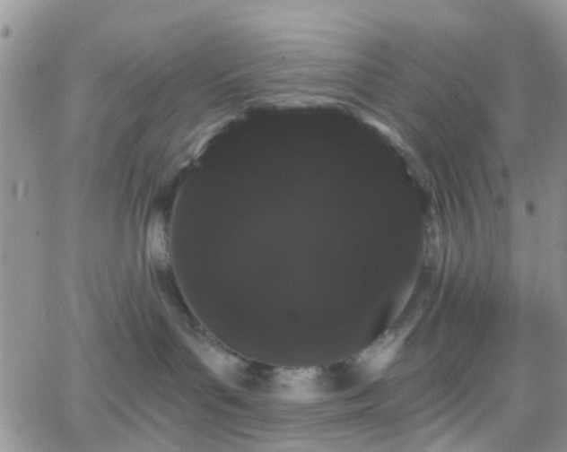 X0000066090143200603171105