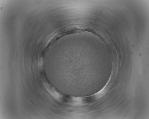 X0000066090144200603171105