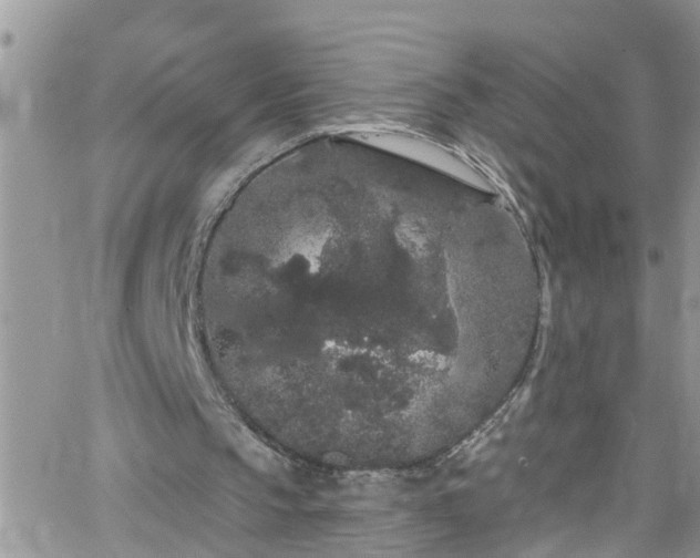 X0000066090145200603171104