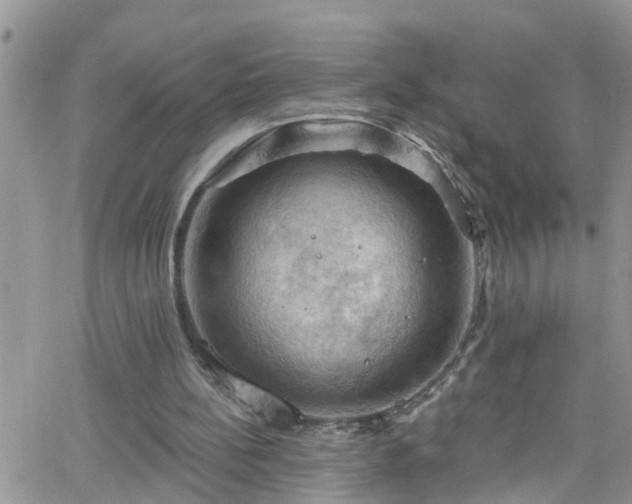 X0000066090148200603171104