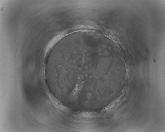 X0000066090149200603171104