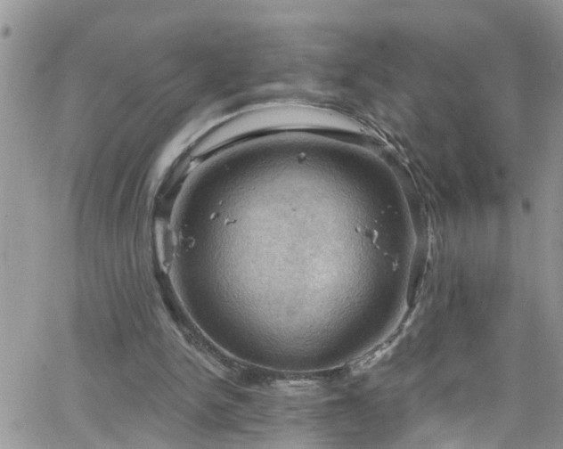 X0000066090150200603171104