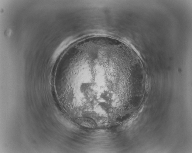 X0000066090151200603171104