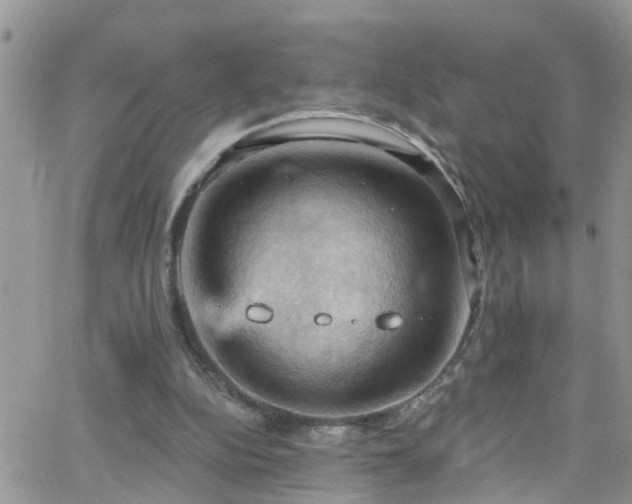 X0000066090152200603171104