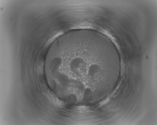 X0000066090153200603171104