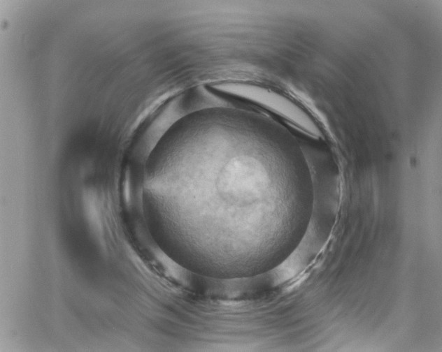 X0000066090154200603171104