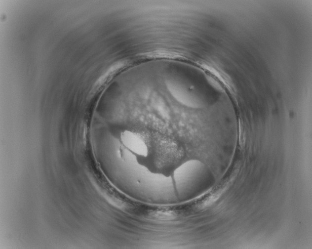 X0000066090157200603171104