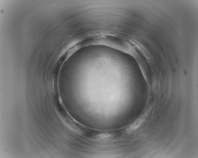 X0000066090158200603171104