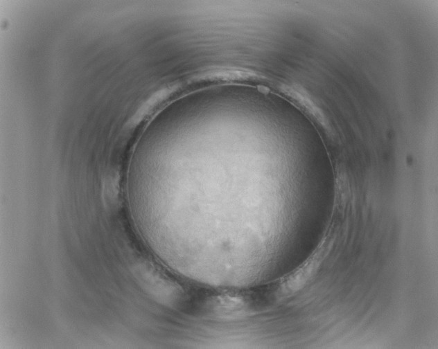 X0000066090159200603171104