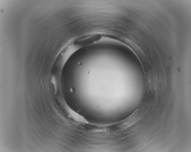 X0000066090160200603171104