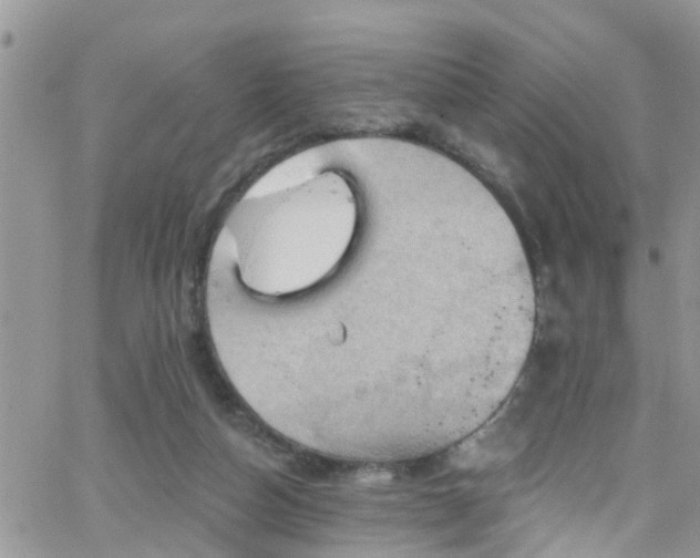 X0000066090162200603171104