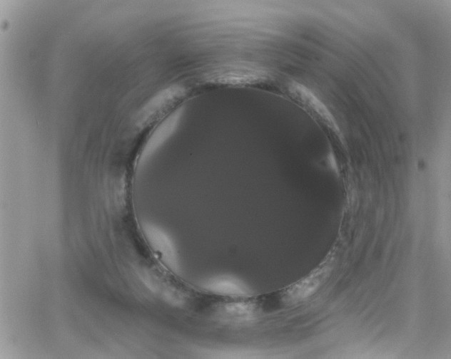 X0000066090163200603171104