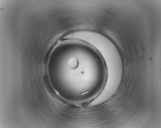 X0000066090164200603171104