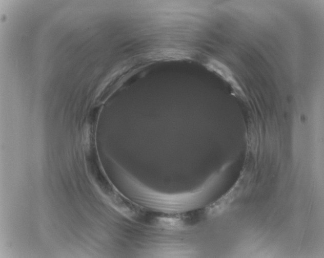 X0000066090167200603171104