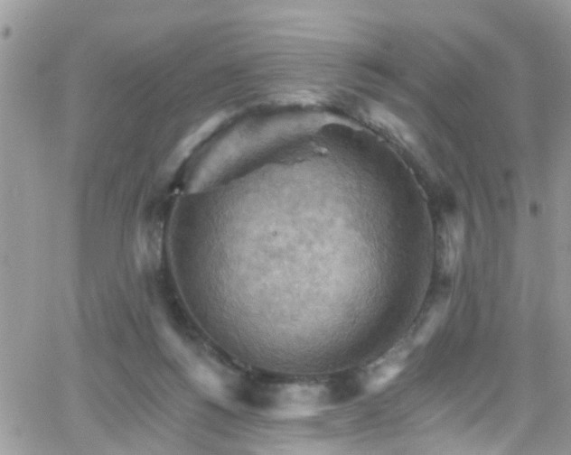 X0000066090168200603171104