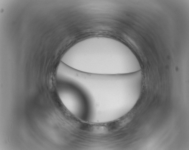 X0000066090169200603171104