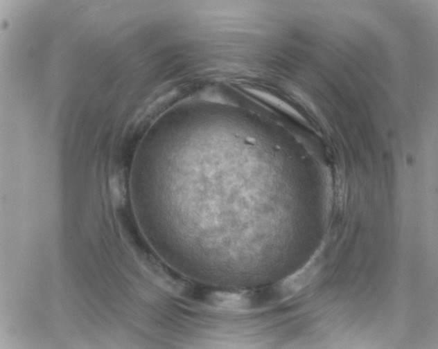 X0000066090170200603171104