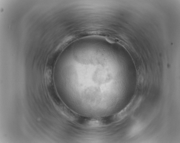 X0000066090171200603171104