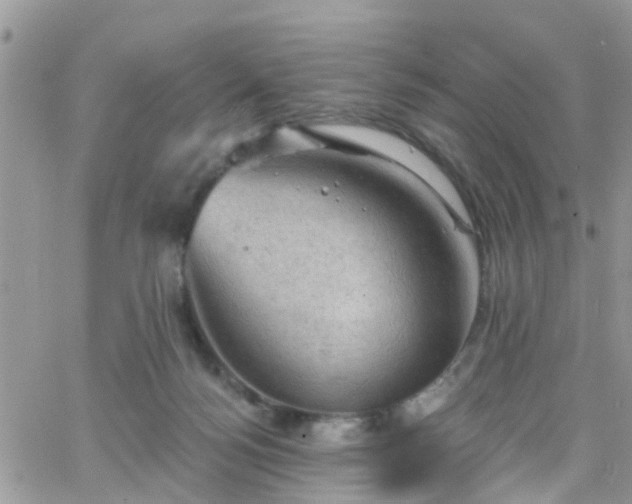 X0000066090172200603171104