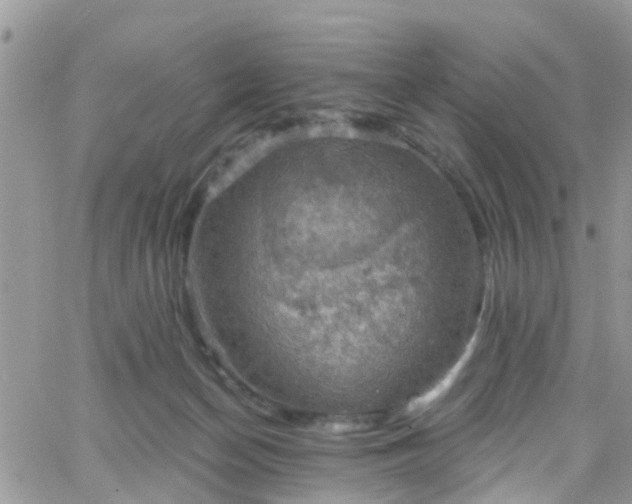 X0000066090174200603171104