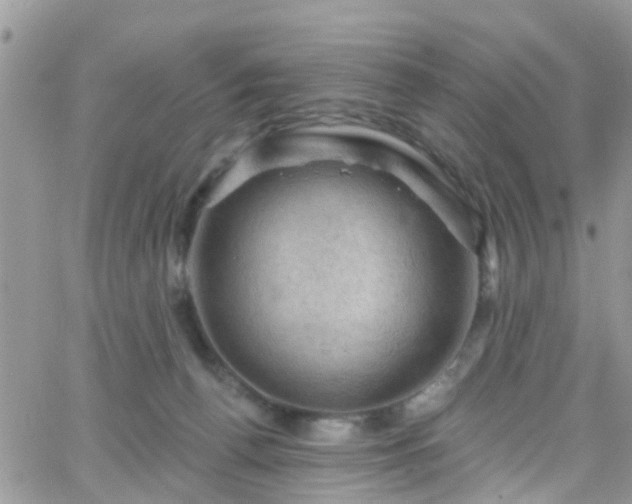 X0000066090176200603171104